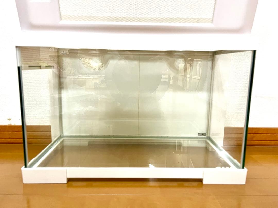 爬虫類■両生類■ヘビ 蛇■ゲージ■エキゾテラ■EXO TERRA■白■50 30