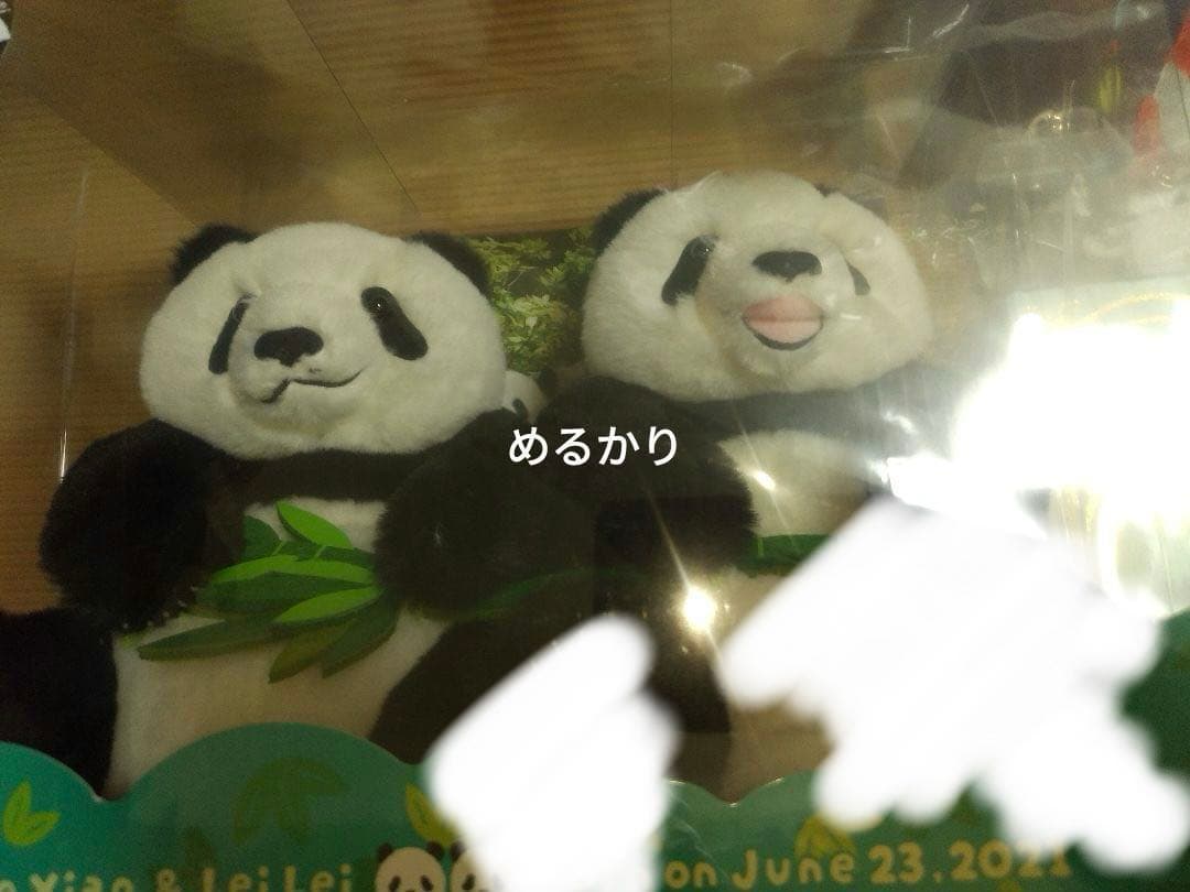 あ】上野動物園　シャオシャオ　レイレイ　ぬいぐるみ　ボックス　Tシャツ　限定