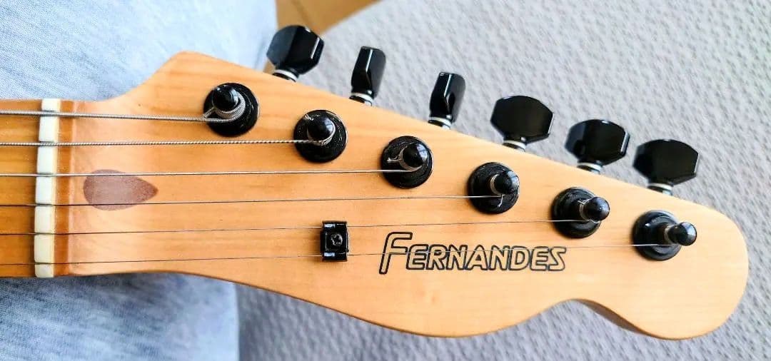 値下げ！フェルナンデス TE-95T TAKUYAモデル メンテ済 ジュディマリ