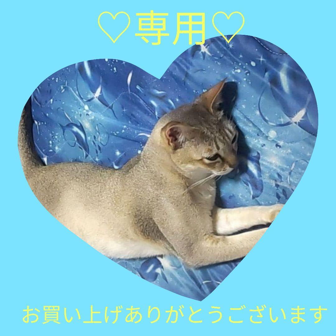 ★専用★