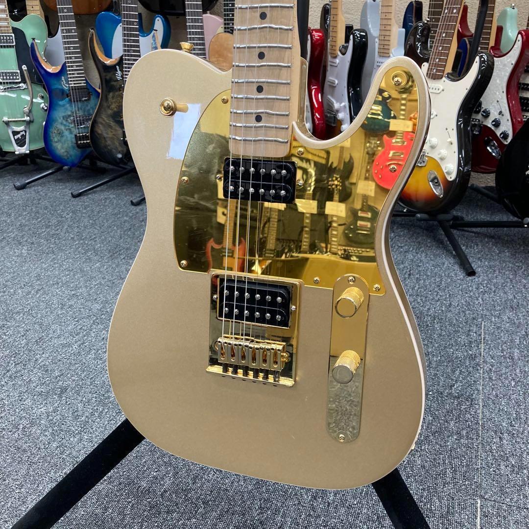 【9801】 True Temperament fretting system