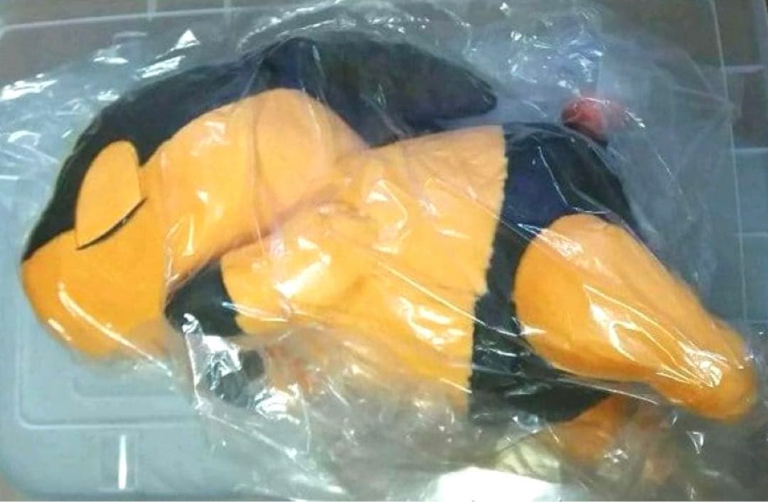 ポケモン　ぬいぐるみ　ポカブ　ポケモンレジェンズZA　202511151012