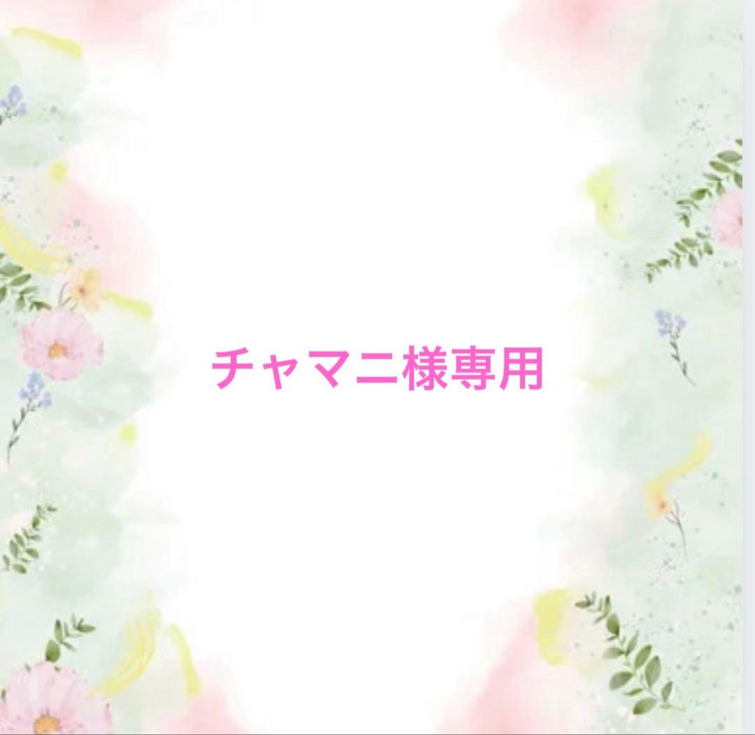 チャマニ
