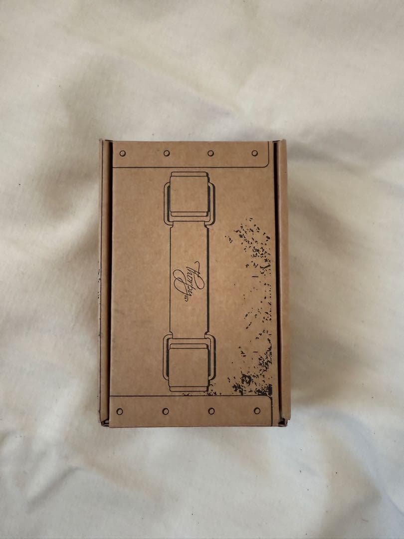 ギター Thorpy FX The Dane MKII