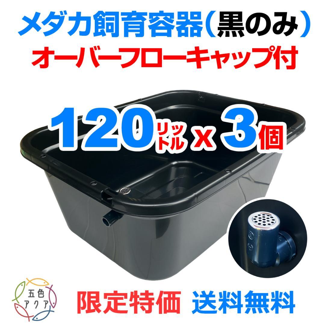 【限定特価】メダカ飼育ケース 120㍑黒x3個 オーバーフロー 金魚飼育 越冬