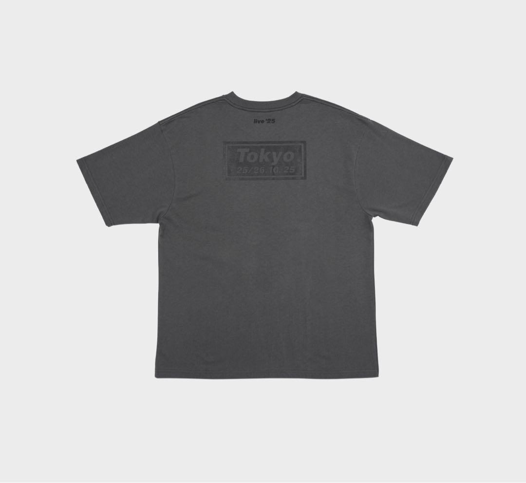 【Oasis Live'25】公式Tシャツ 富士（日本限定品）