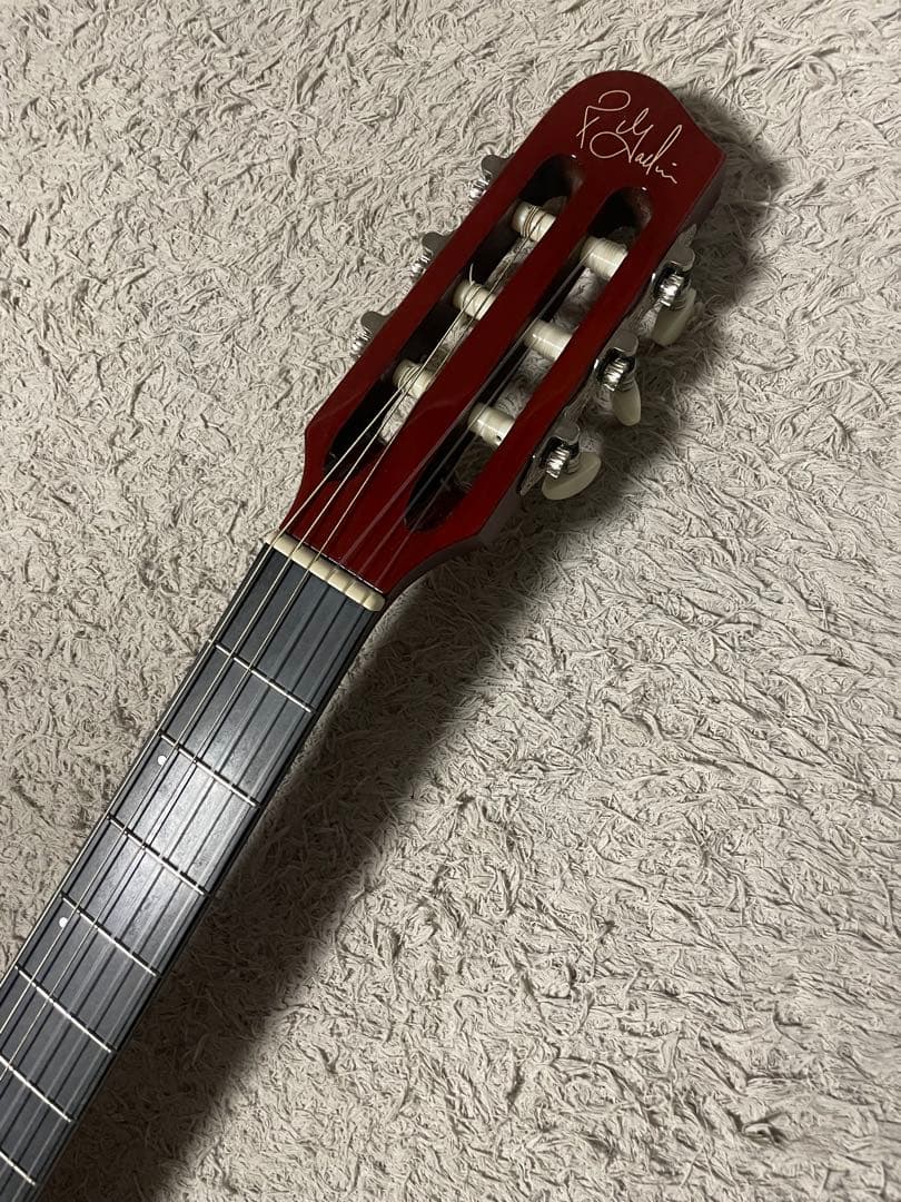 【レア美品】ゴダン Godin ACS Slim SA ナイロンギター 黒