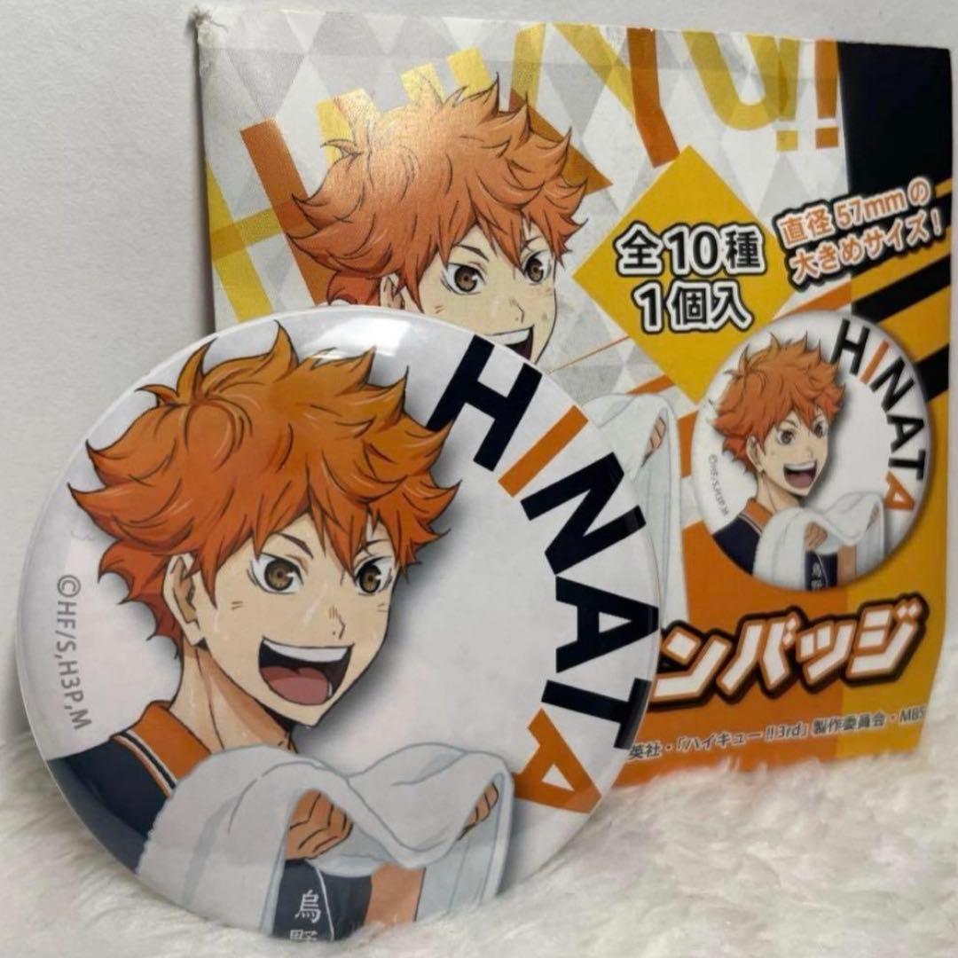 ハイキュー 購買部 合同練習会 日向翔陽 影山飛雄 缶バッジセット