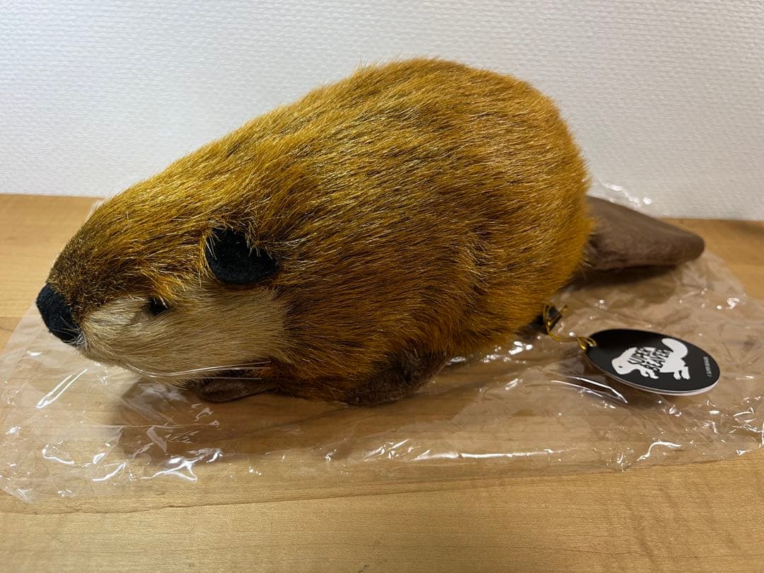 SUPER BEAVER ぬいぐるみ 吉徳 スーパービーバーちゃん