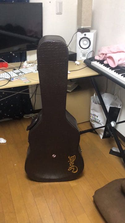 Martinのエレキギター
