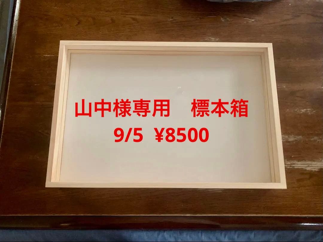 標本箱
