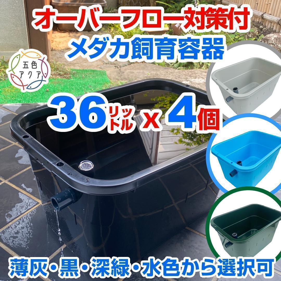 メダカ飼育ケース 36㍑x4個（4色あり）大雨対策付 めだか飼育容器 金魚鉢