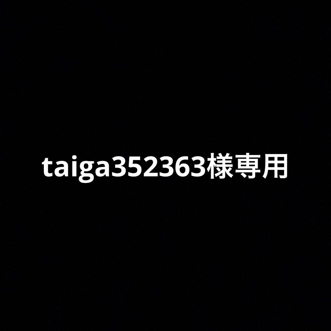 専用ページ　グレー　セットアップ