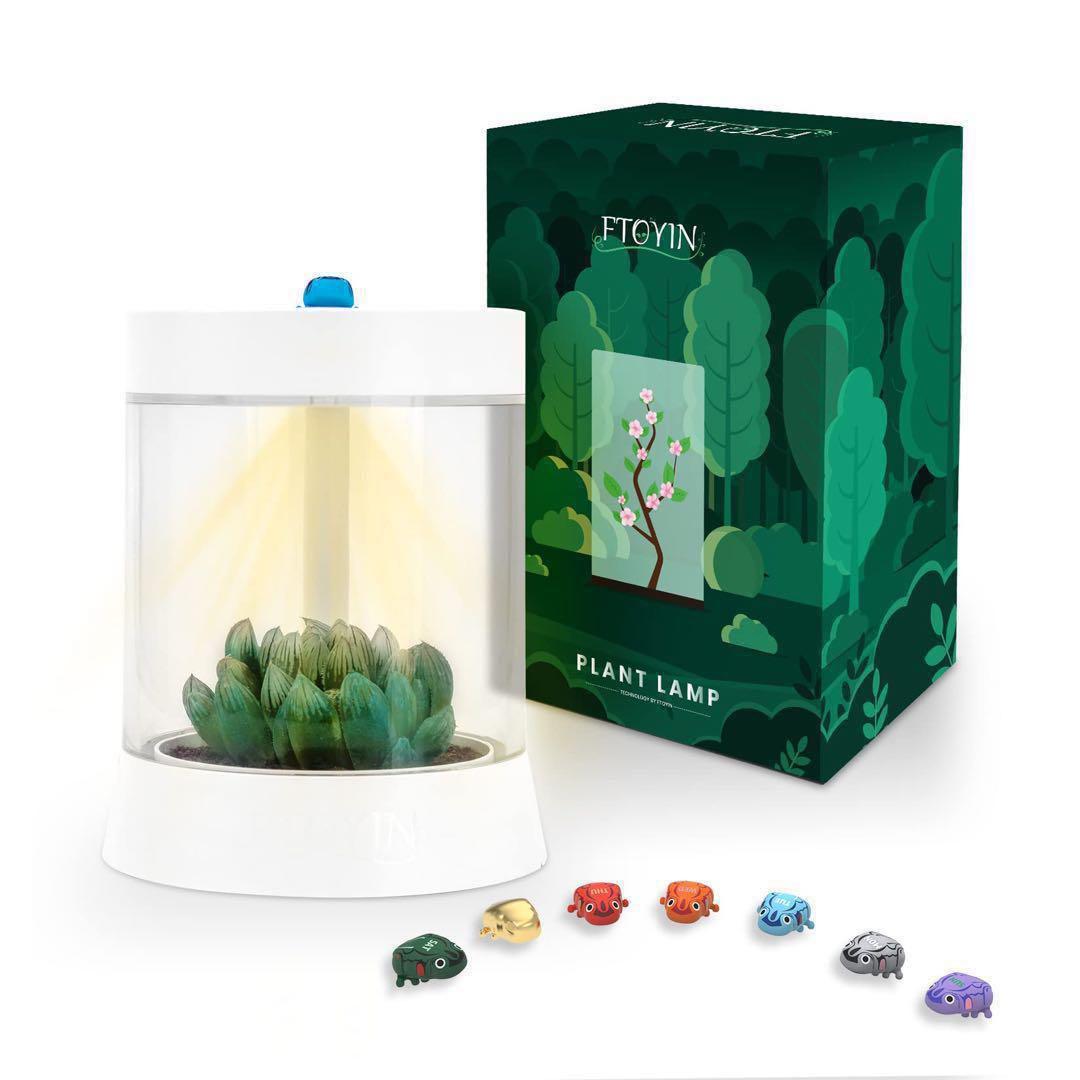 癒し植物ナイトライトグロウライト付き多肉植物の鉢 植物育成 LED USB
