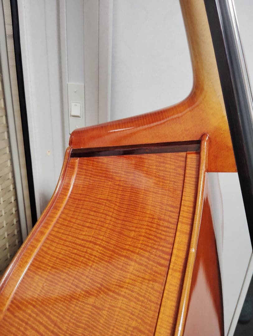 コントラバス ウッドベース スズキ ケース付 表単板 エヴァピラッツィ弦