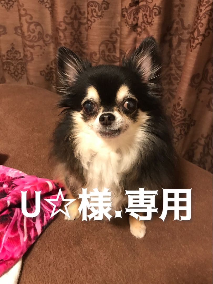 U☆