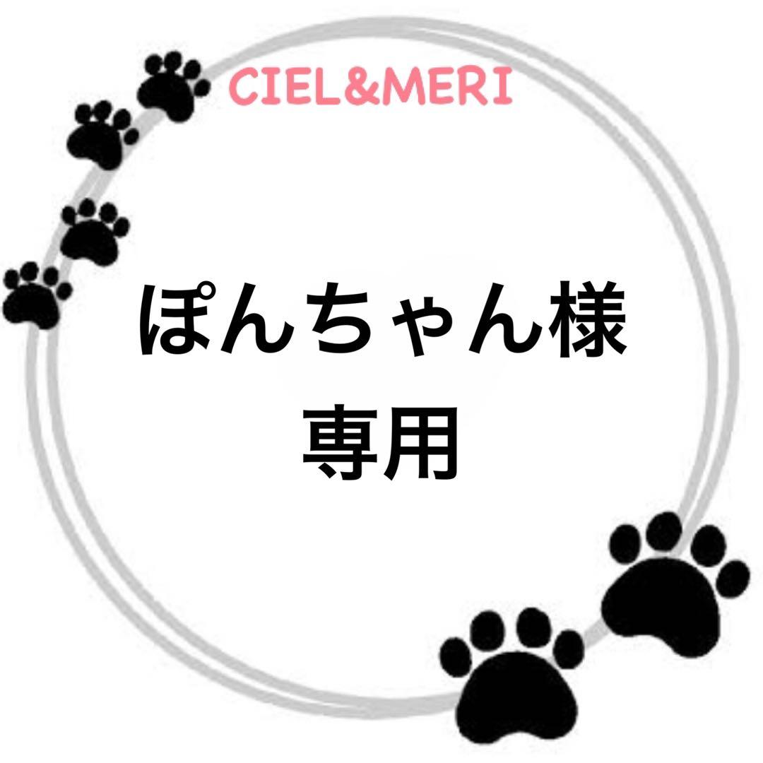 ぽんちゃん
