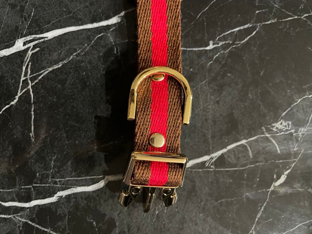 犬首輪リードセット　COLINATE 新品　アプリコット色　正規品