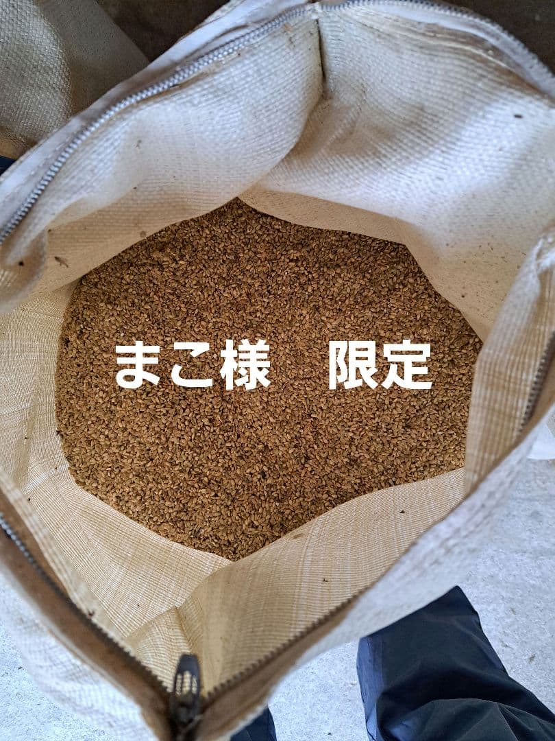 屑米
