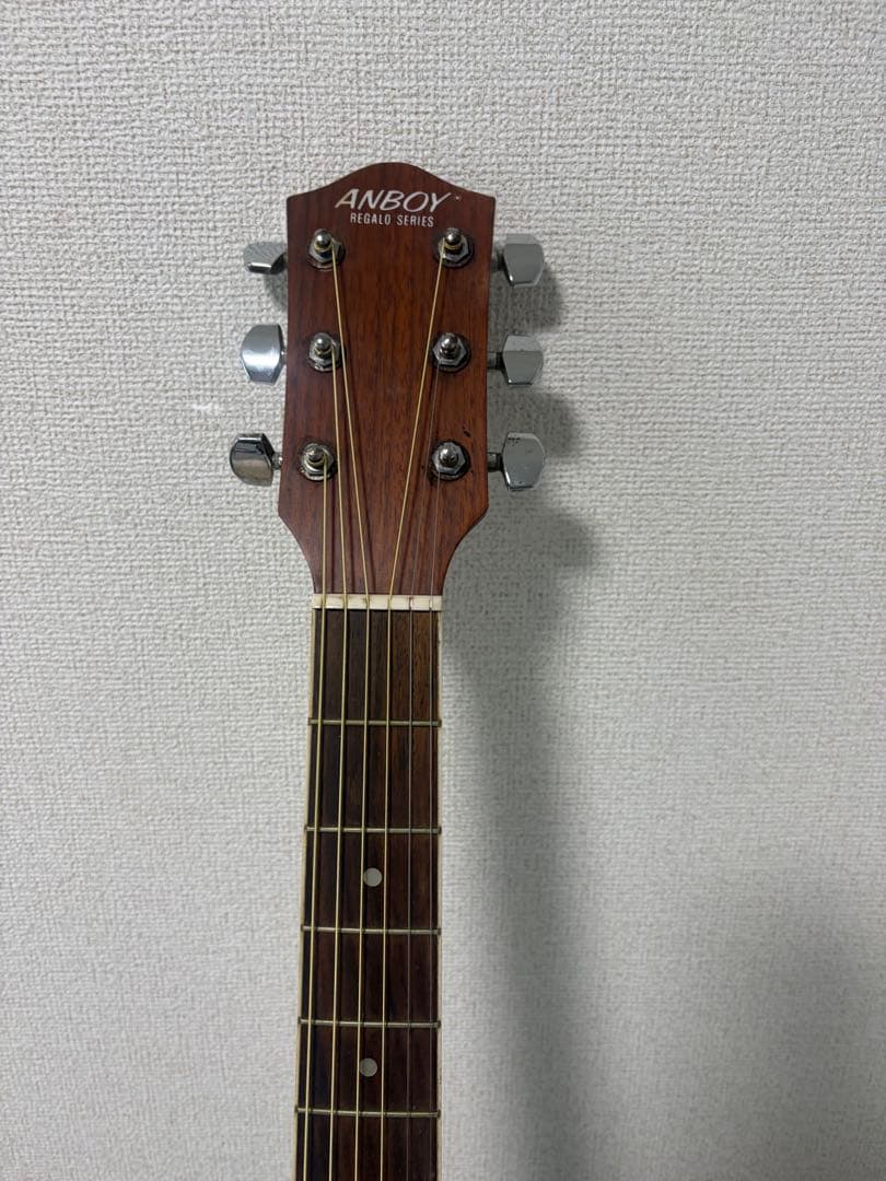 ギター ANBOY REGALO SERIES REA-35E