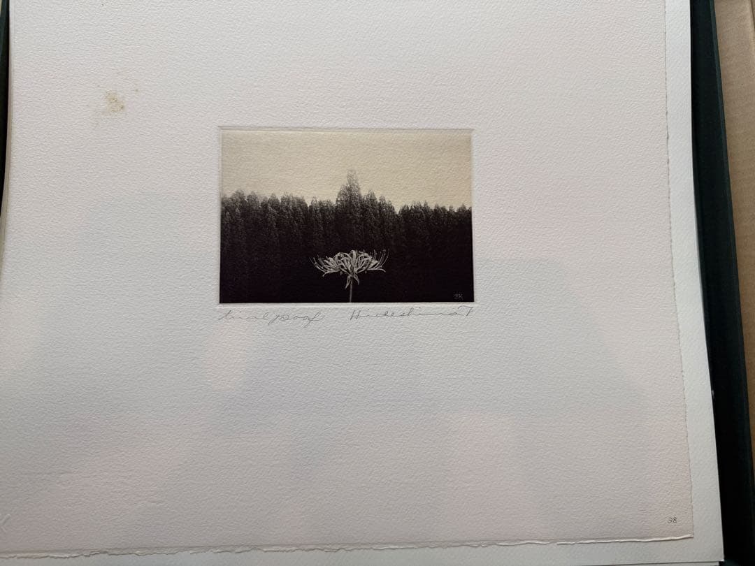 秀島由己男　版画集　春の城シリーズ　草の道