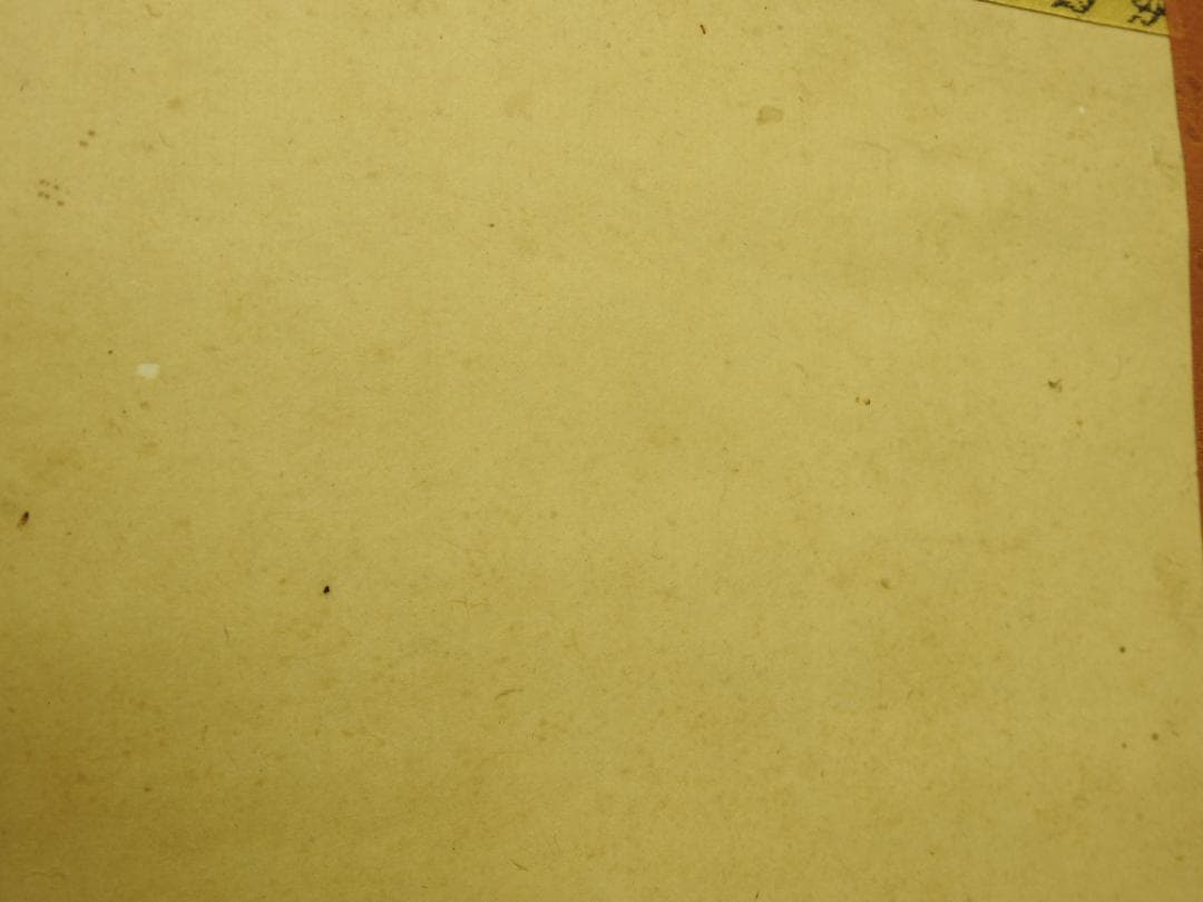 青緑山水画　作者不明　保存箱　MA849