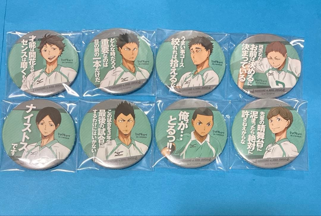 ハイキュー J-World 缶マグネット 青葉城西　青城