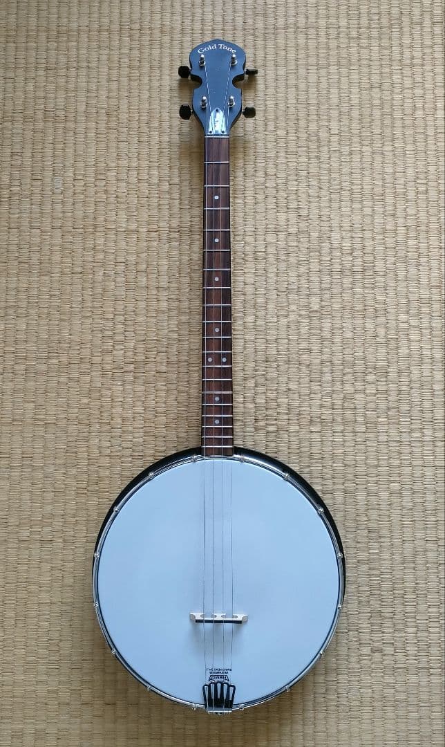 【美品】Gold Tone　AC-4IT　アイリッシュテナーバンジョー