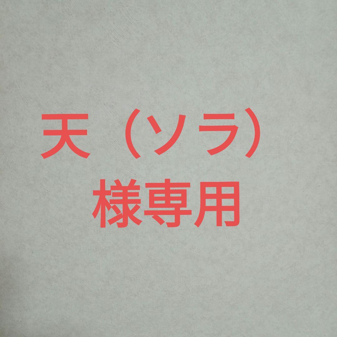 ウマ娘　ヴィブロスぬいぐるみ　コミケ　ヒトミミ