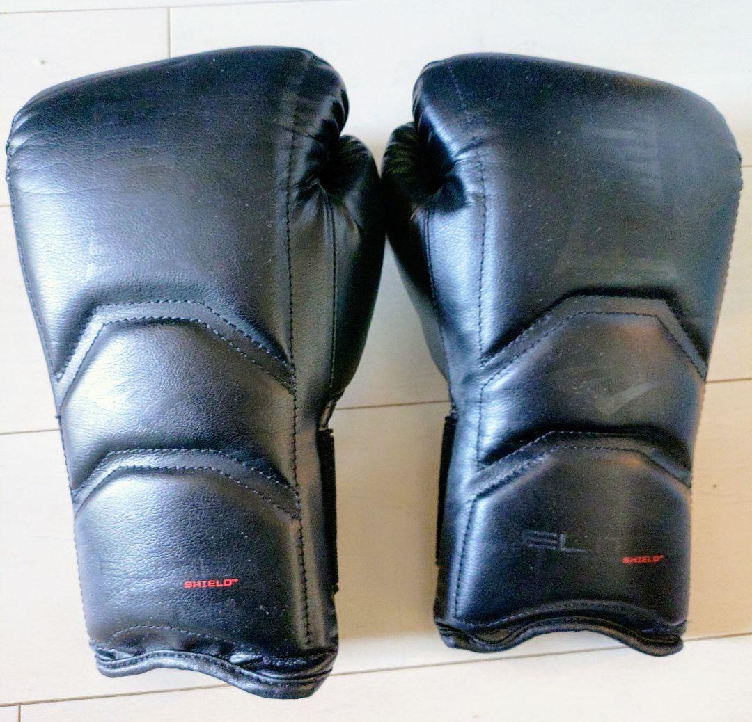 ＥＶＥＲＬＡＳＴ ＰＲＯ　14oz
