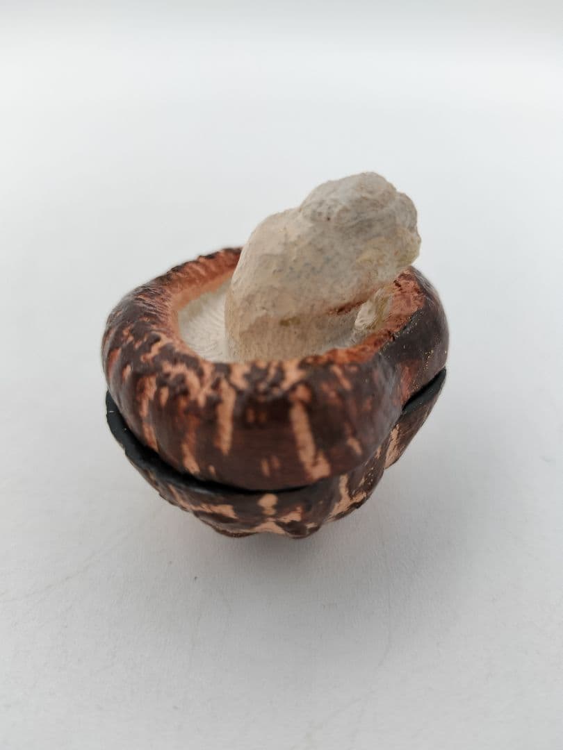 b120 【新品・未使用】香合 乾漆 椎茸 畦地粒表 多喜翁 木箱 茶道具 風炉