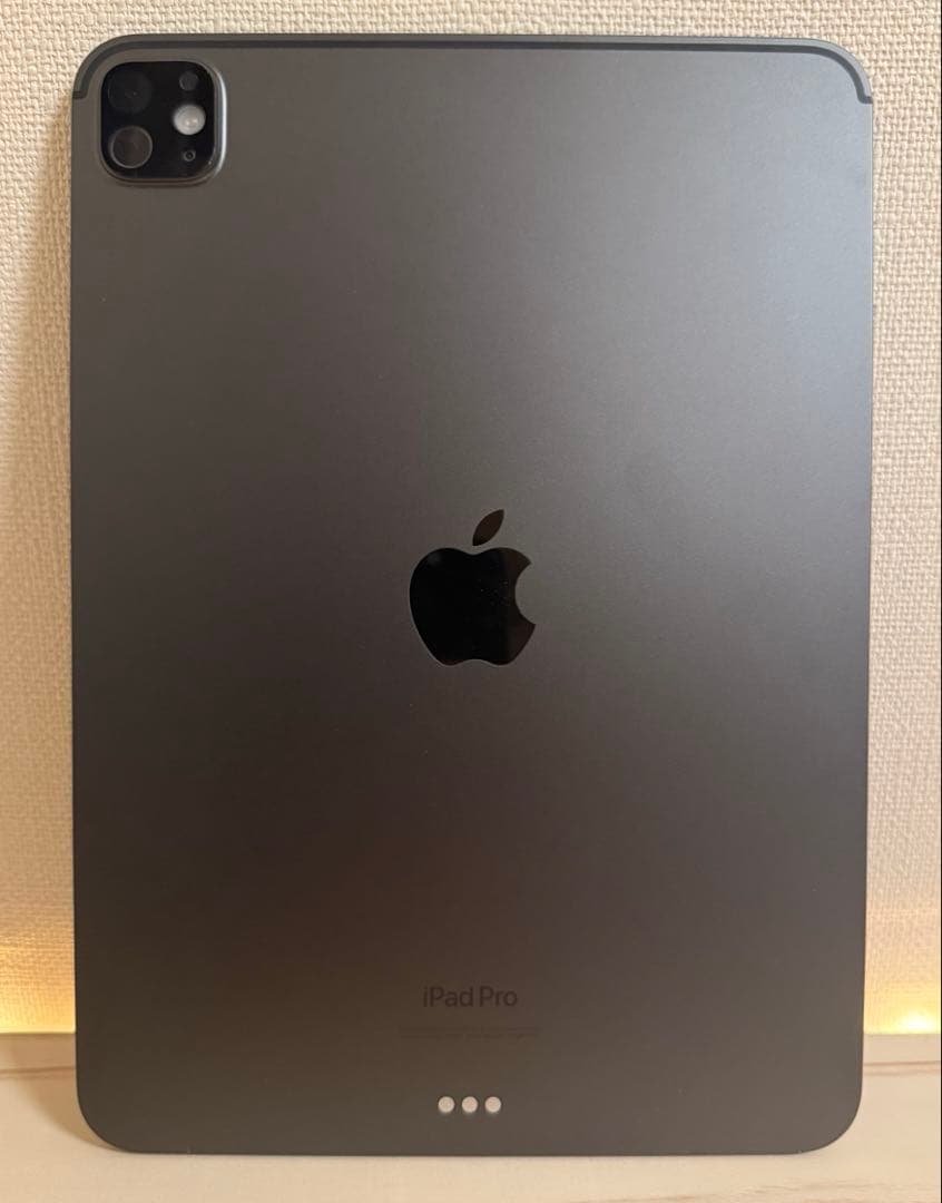 11インチ M4 iPad Pro Wi-Fiモデル 256GB
