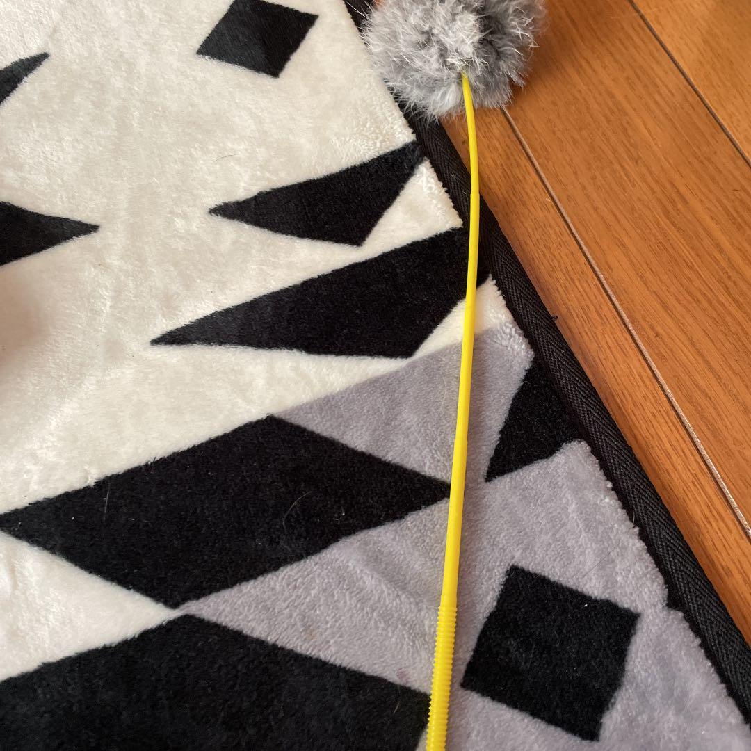 ねこじゃらし