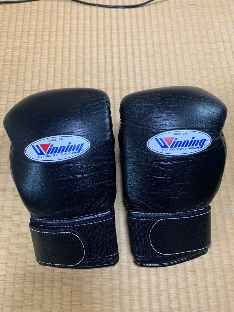 Winning ボクシング グローブ 10オンス