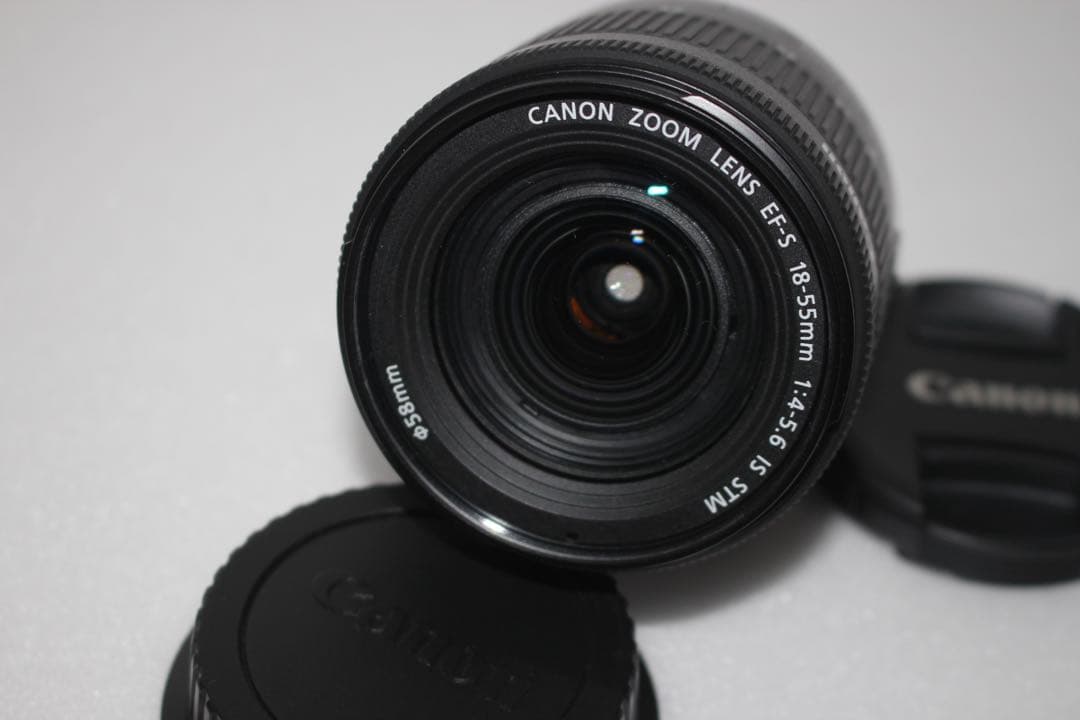 Wi-Fi/動画/保証/手ぶれ補正付きCanon EOS 80Dレンズセット
