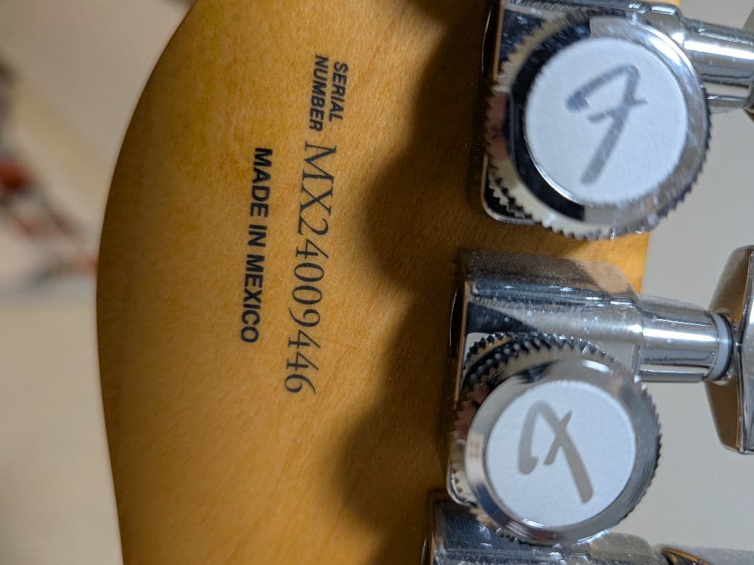 ギター Fender Player Plus Telecaster Mexico