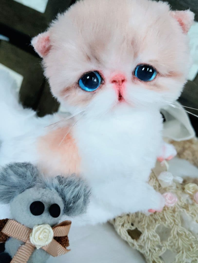 もちもちボディ♡エキゾチック子猫ちゃんとチュチュちゃん♡カゴ♡アートドール♡