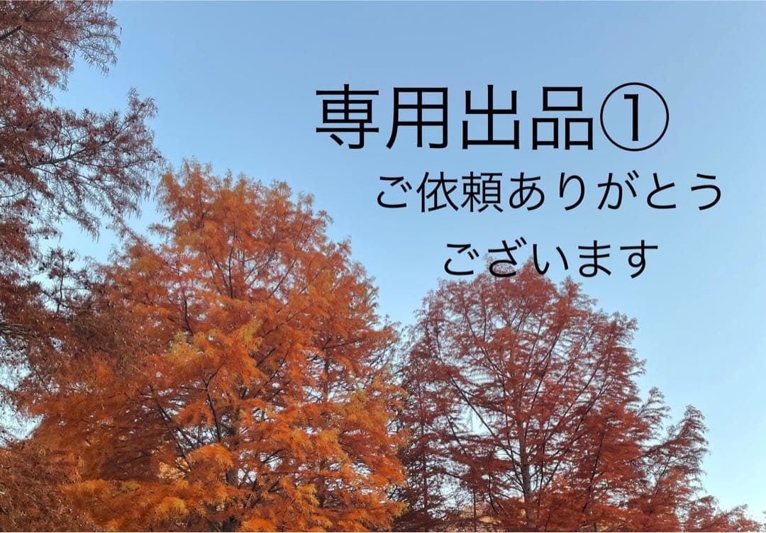 専用出品①