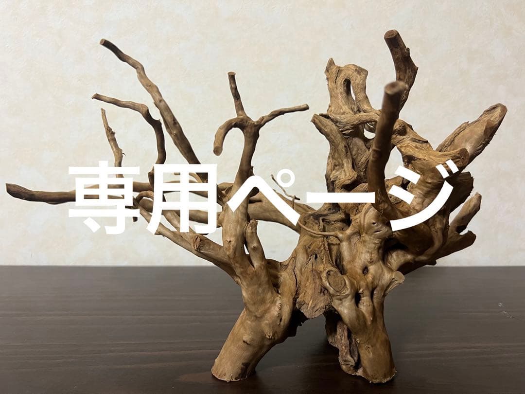 Masacopterページ