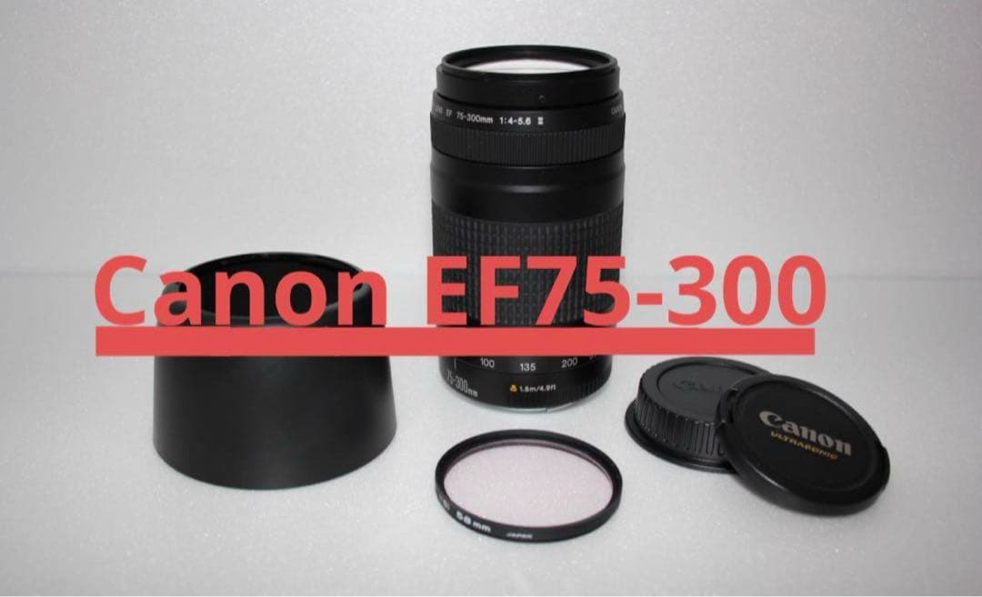 望遠レンズ/デジタル一眼レフカメラ/Canon EF75-300㎜