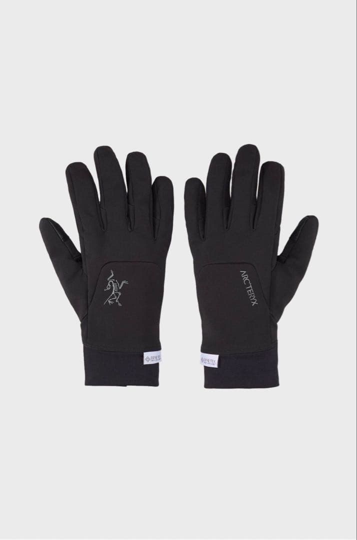 Arc'teryx ブラックグローブ　Mサイズ