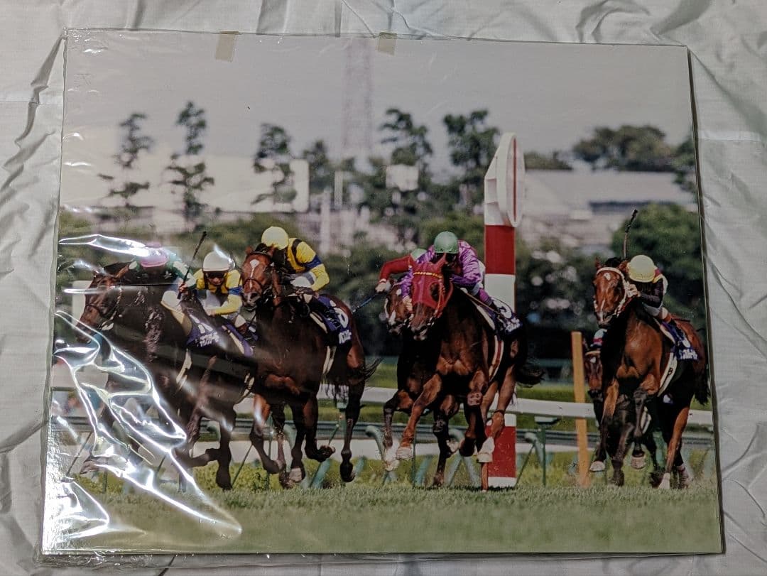 マーベラスサンデー　武豊　宝塚記念　 競走馬パネル　スポーツ新聞付き