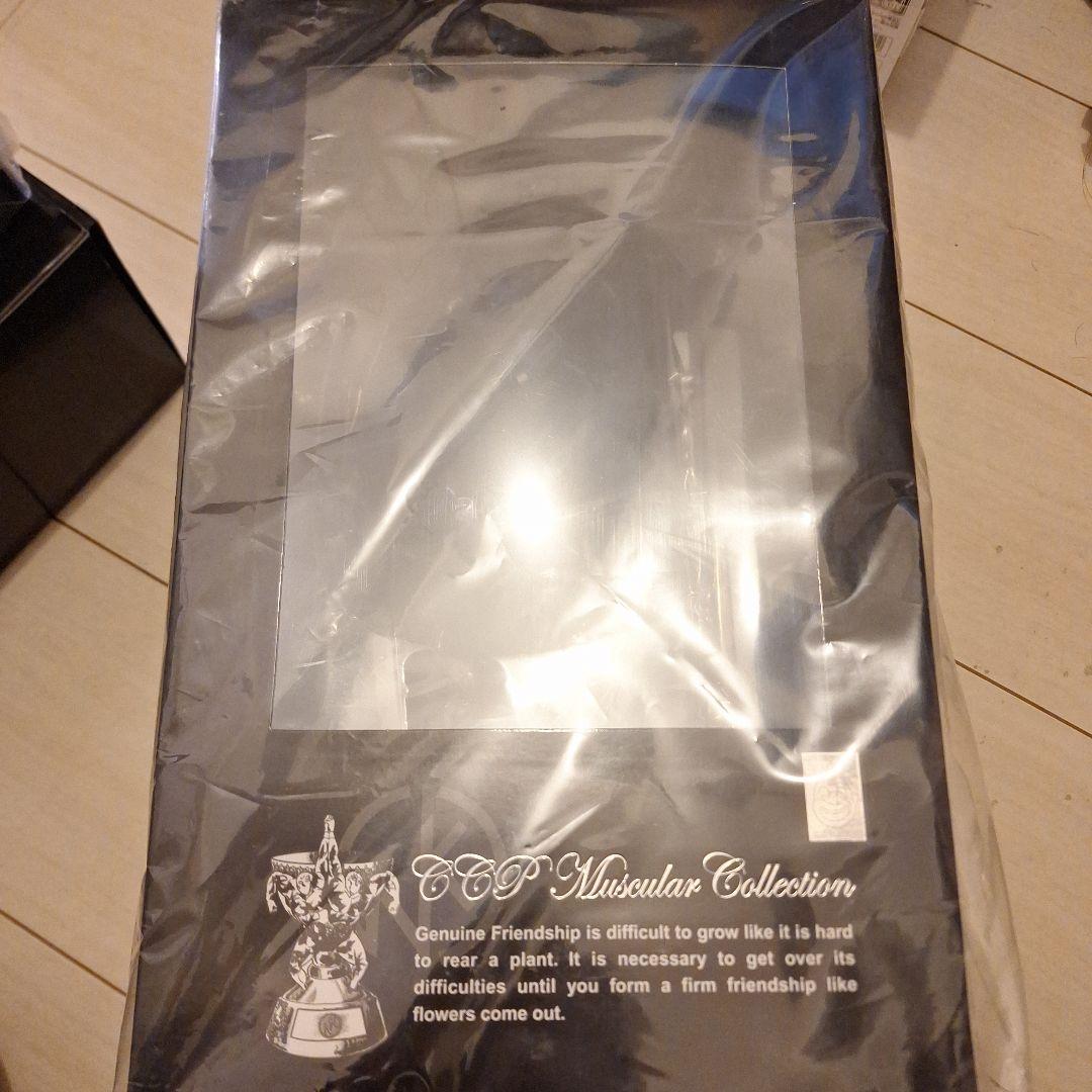 新品　CCP CMC　No.70　カラスマン　原作カラー　B-TYPE