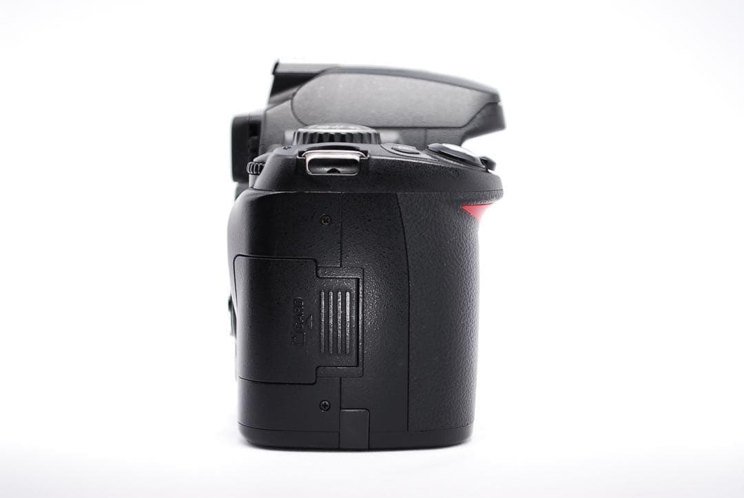 鮮やかな写り✨小型軽量✨Nikon D40X✨一眼レフデビューに✨