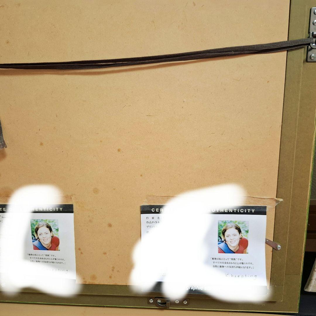 貴重！今週のみお値下げ カレンホイプティング [屋根の上のクロコ]ワニと鳥抽象画
