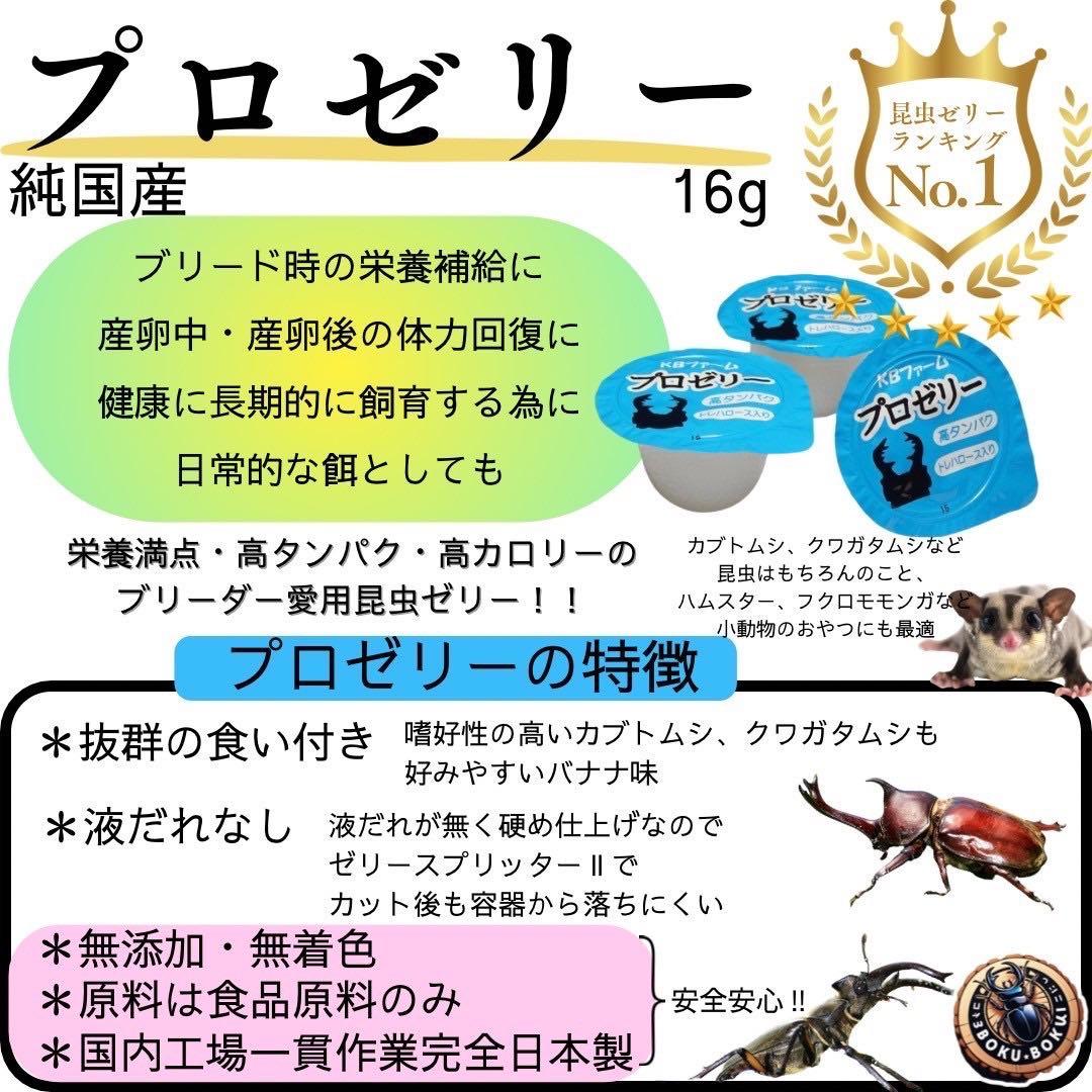 国産プロゼリー15000個KBファーム・カブトムシ　クワガタ 【木ぼく】