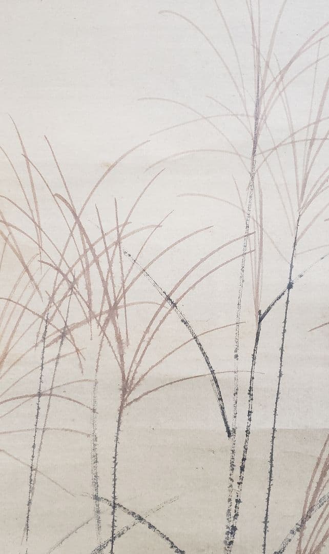 【秋草に虫図/秋叢】小寺雲洞 2575 共箱　掛け軸　肉筆