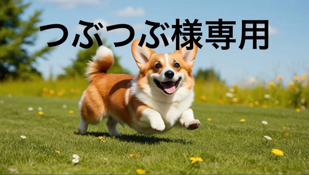 つぶつぶ