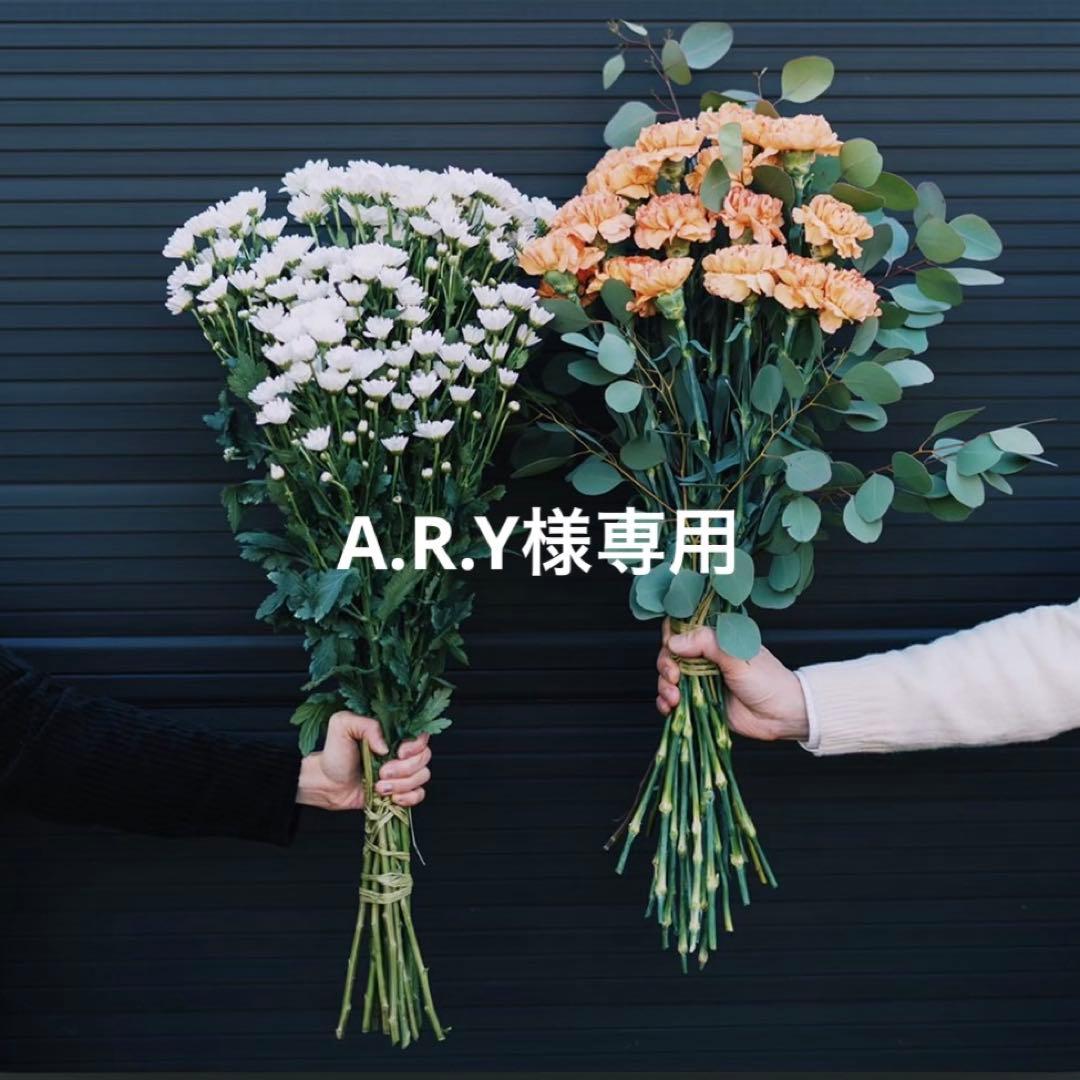 小物 A.R.Y