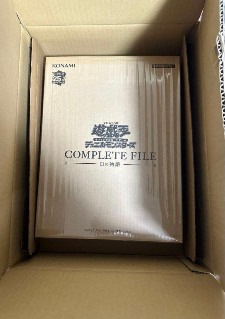 遊戯王OCGデュエルモンスターズ COMPLETE FILE －白の物語－